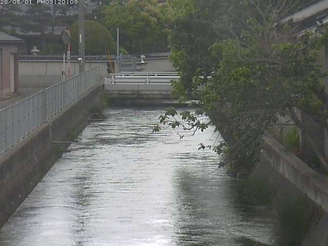 山白川２2026/05/01 16:50:00