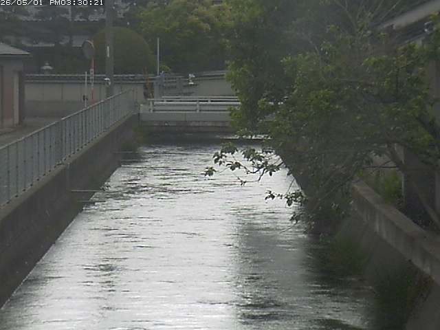 山白川２2026/05/01 16:50:00
