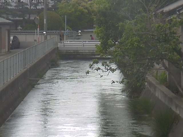 山白川２2026/05/01 16:50:00