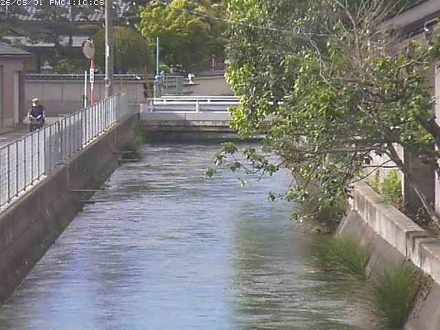 山白川２2026/05/01 16:50:00