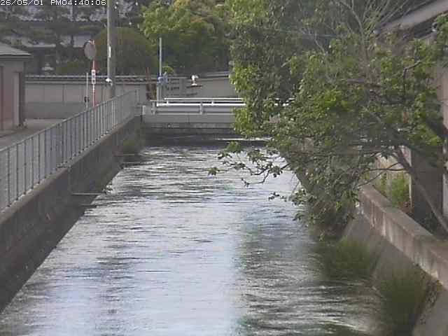 山白川２2026/05/01 16:50:00