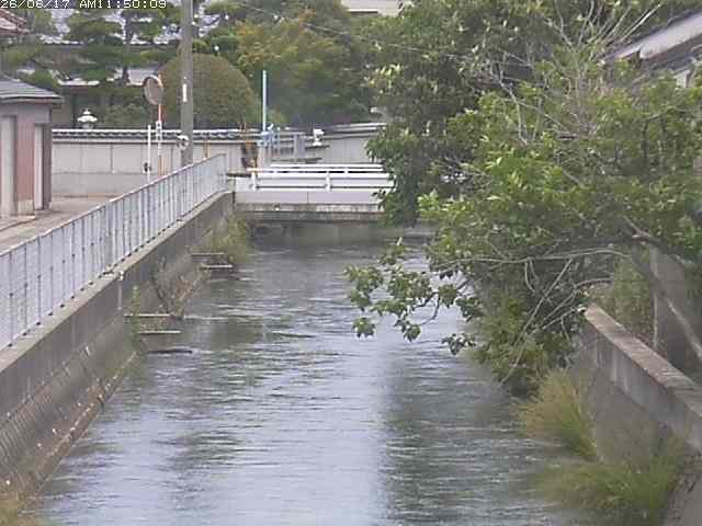 山白川２2026/06/17 12:00:00
