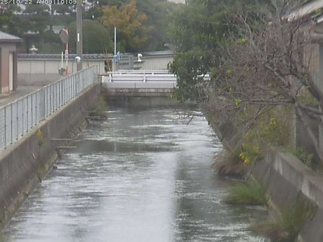 山白川２2025/10/22 11:30:00