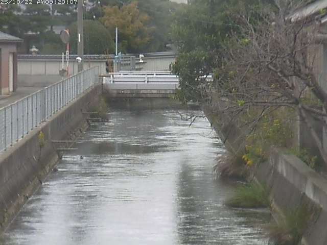 山白川２2025/10/22 11:30:00
