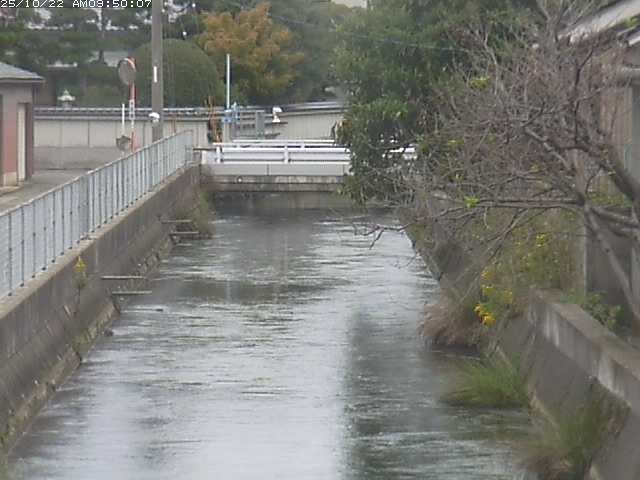 山白川２2025/10/22 11:30:00