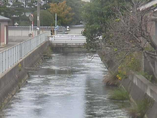 山白川２2025/10/22 11:30:00