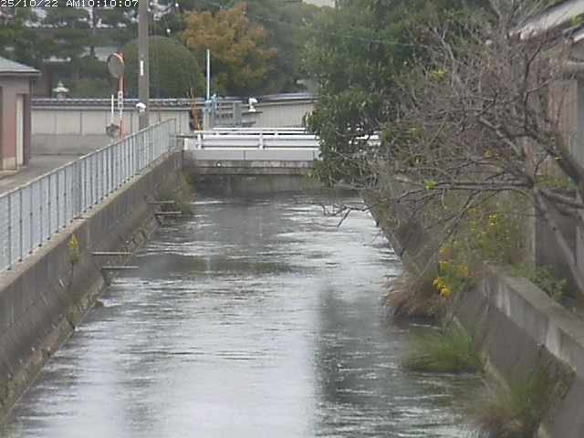 山白川２2025/10/22 11:30:00