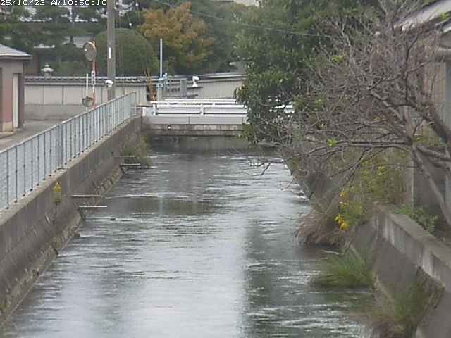 山白川２2025/10/22 11:30:00