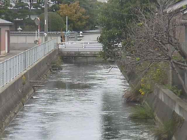 山白川２2025/10/22 11:30:00