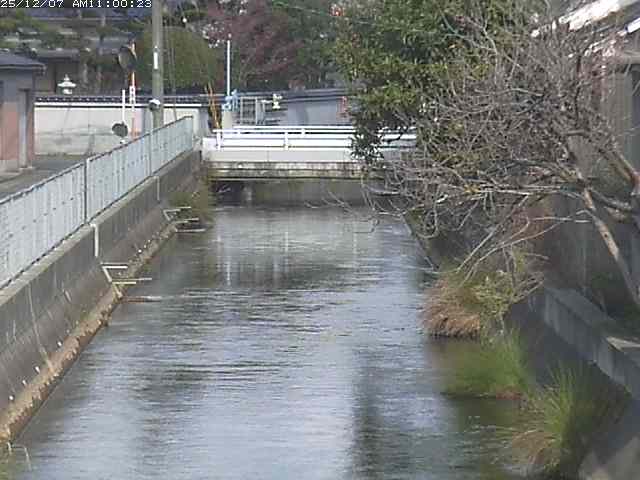 山白川２2025/12/08 11:30:00