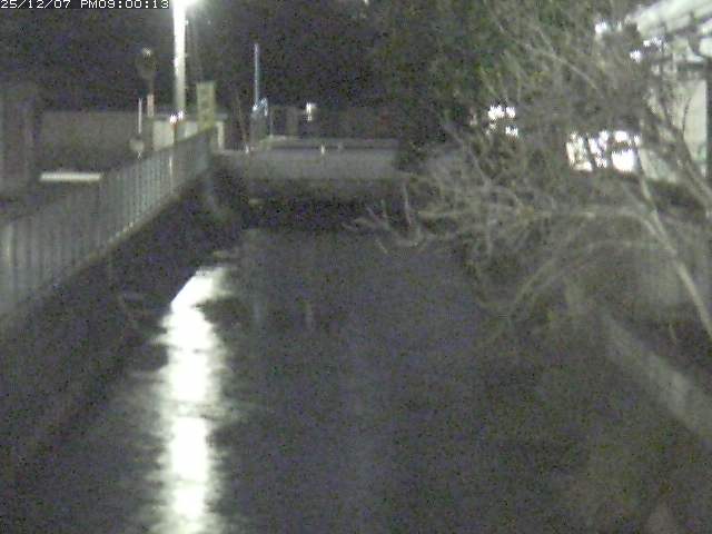 山白川２2025/12/08 11:30:00