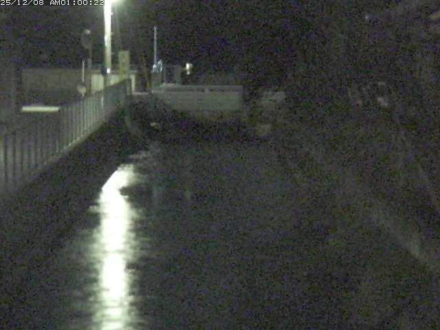 山白川２2025/12/08 11:30:00