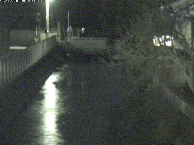 山白川２2025/12/08 11:30:00