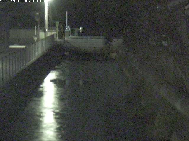 山白川２2025/12/08 11:30:00