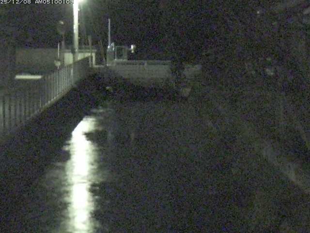 山白川２2025/12/08 11:30:00