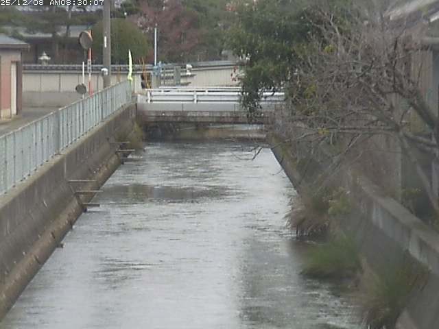 山白川２2025/12/08 11:30:00