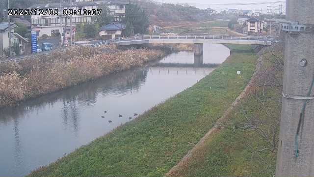 浜村川２2025/12/08 11:30:00