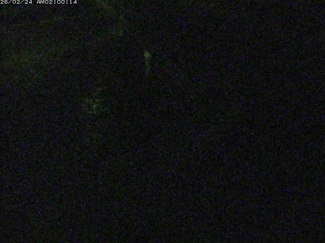 砂見川１2026/02/25 2:30:00