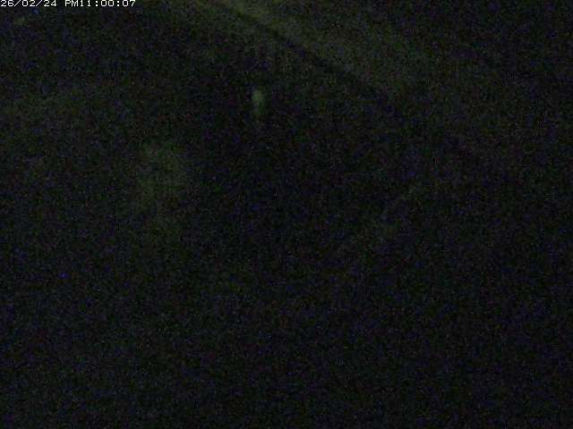 砂見川１2026/02/25 2:30:00