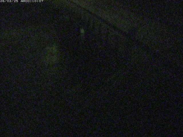 砂見川１2026/02/25 2:30:00