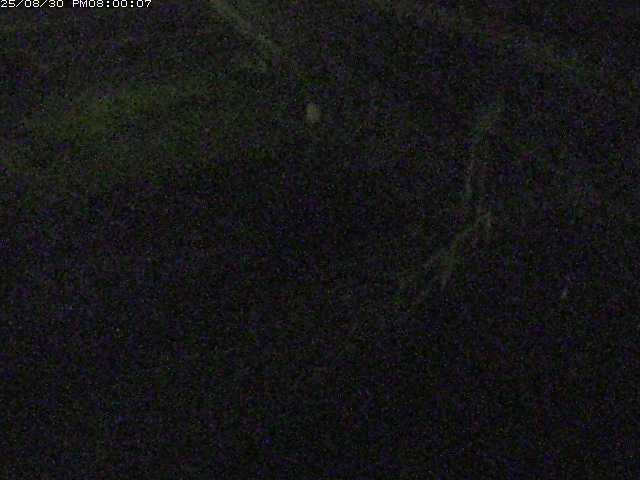砂見川１2025/08/31 9:10:00