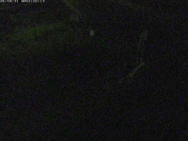 砂見川１2025/08/31 9:10:00