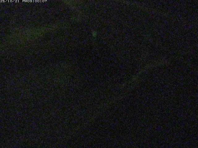 砂見川１2025/10/22 11:20:00