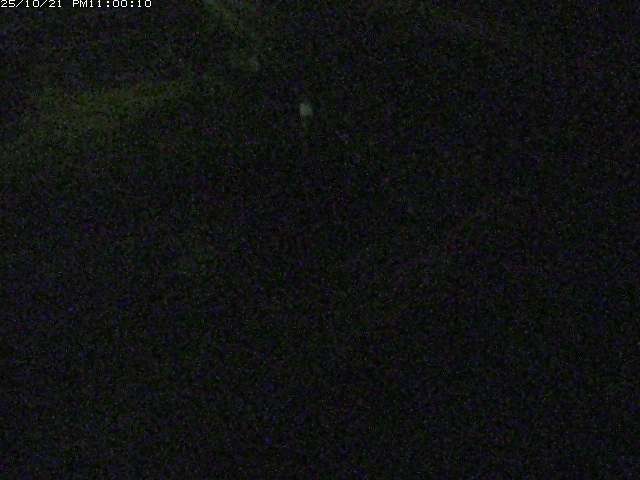 砂見川１2025/10/22 11:20:00
