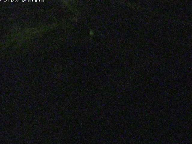 砂見川１2025/10/22 11:20:00
