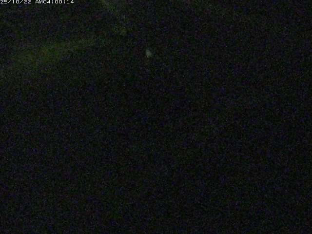 砂見川１2025/10/22 11:20:00