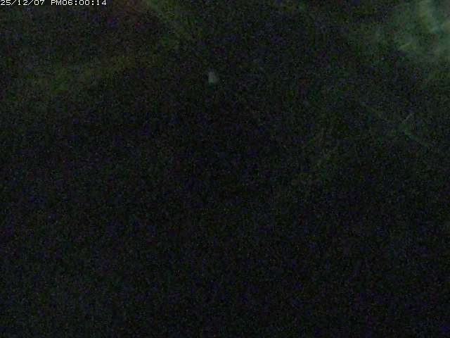 砂見川１2025/12/08 11:30:00