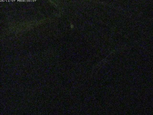 砂見川１2025/12/08 11:30:00