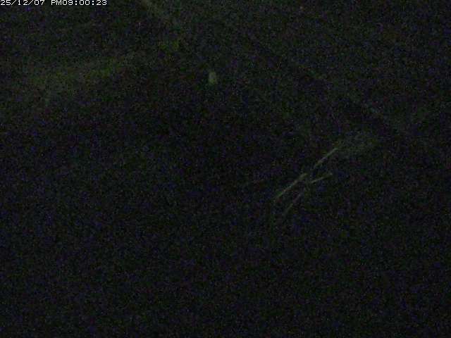 砂見川１2025/12/08 11:30:00