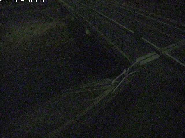 砂見川１2025/12/08 11:30:00