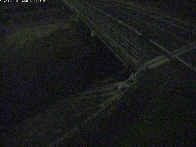 砂見川１2025/12/08 11:30:00