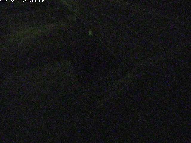 砂見川１2025/12/08 11:30:00