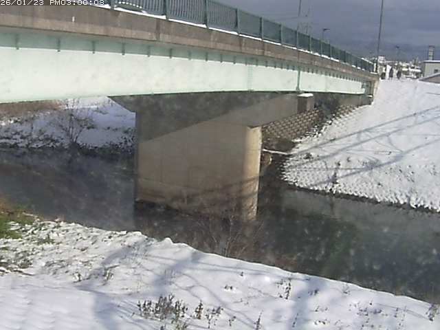 野坂川１2026/01/24 3:00:00