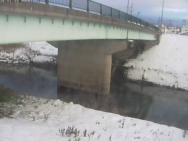 野坂川１2026/01/24 3:00:00