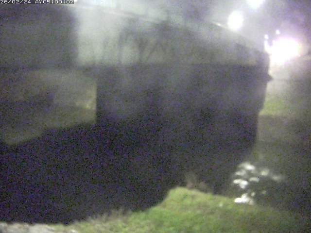 野坂川１2026/02/25 2:40:00