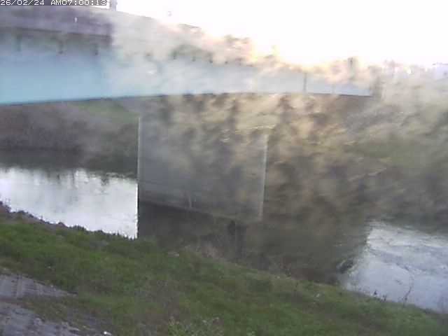 野坂川１2026/02/25 2:40:00