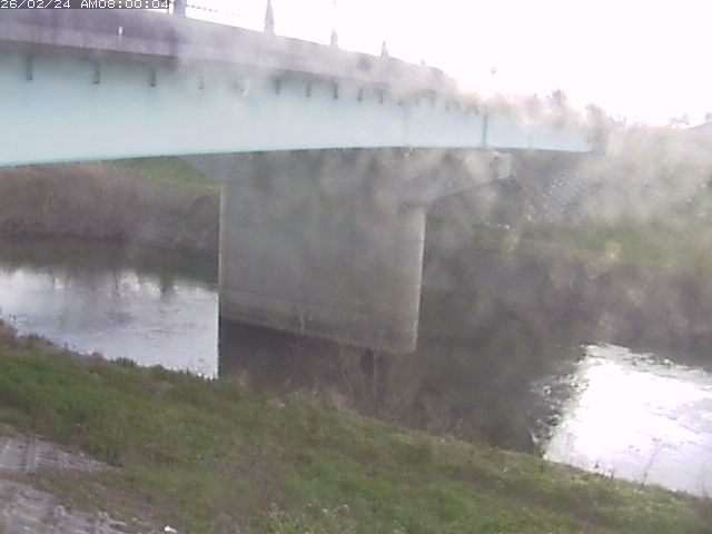 野坂川１2026/02/25 2:40:00