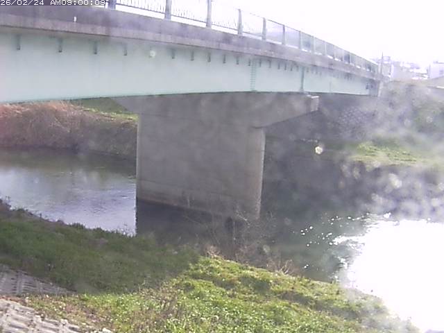 野坂川１2026/02/25 2:40:00