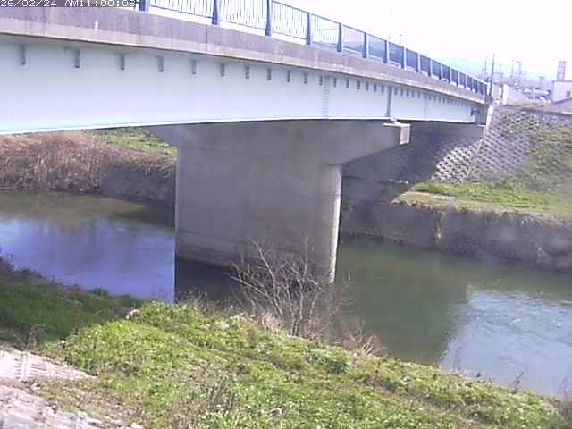 野坂川１2026/02/25 2:40:00