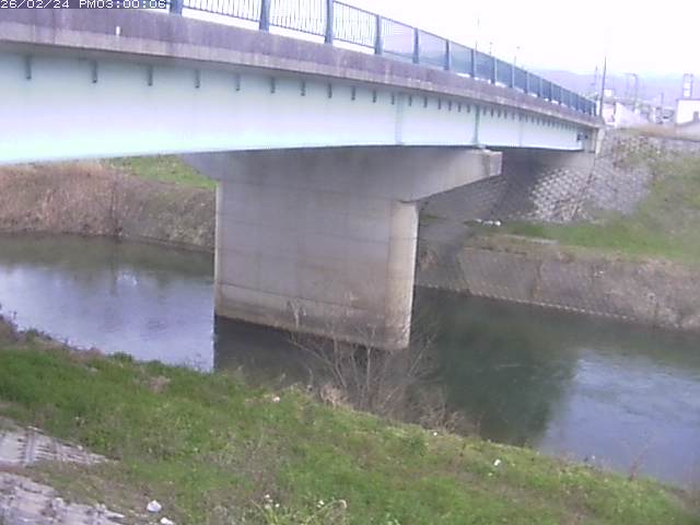 野坂川１2026/02/25 2:40:00