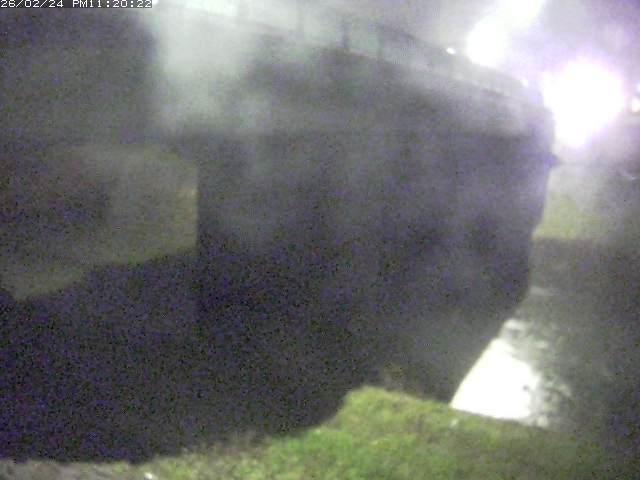 野坂川１2026/02/25 2:40:00