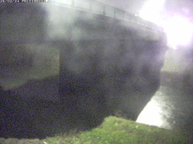 野坂川１2026/02/25 2:40:00