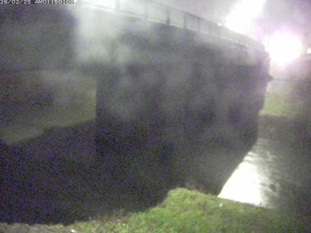 野坂川１2026/02/25 2:40:00