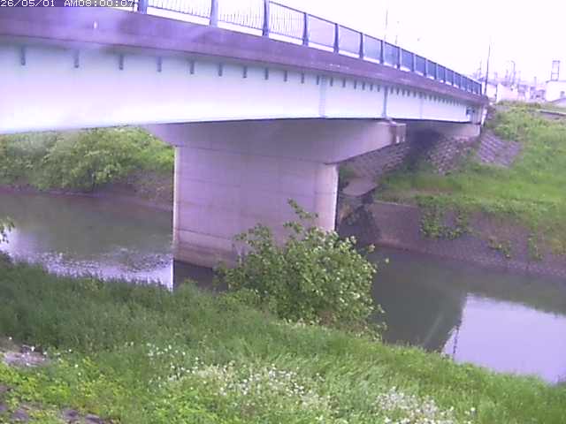 野坂川１2026/05/01 17:00:00