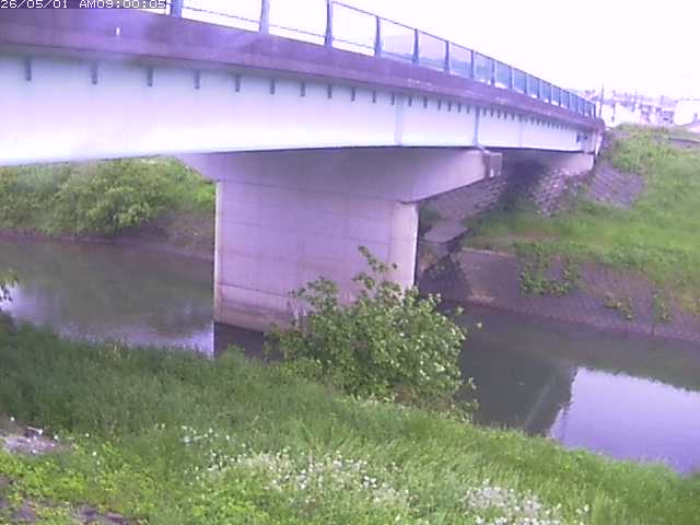 野坂川１2026/05/01 17:00:00