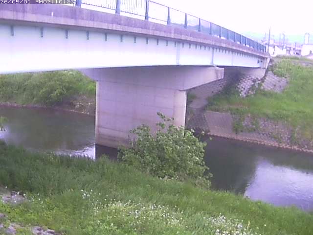野坂川１2026/05/01 17:00:00